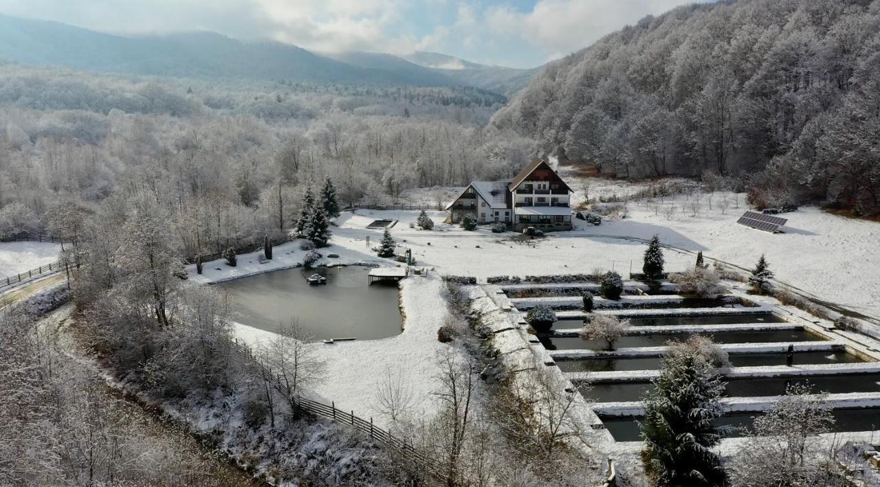 Valea Salbatica Sinca Noua Exterior foto