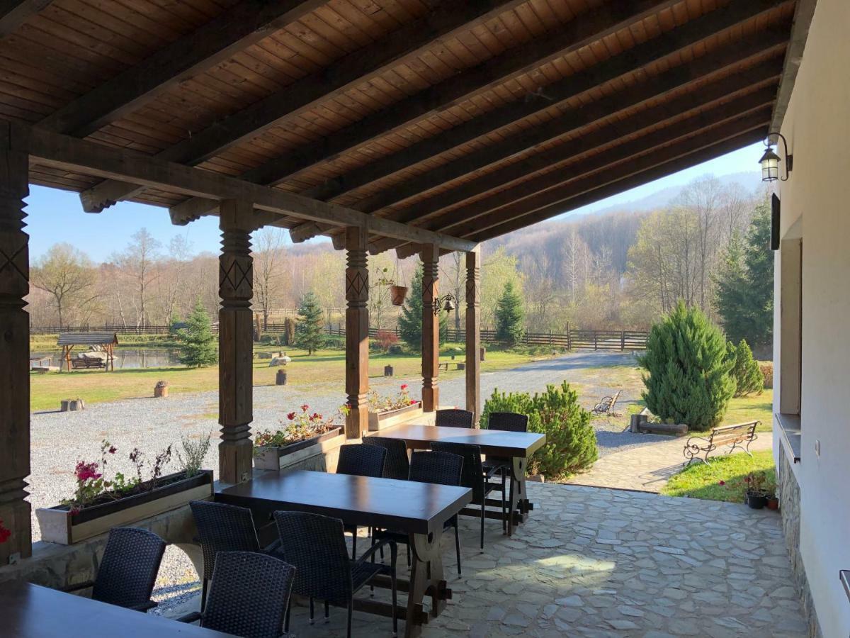 Valea Salbatica Sinca Noua Exterior foto