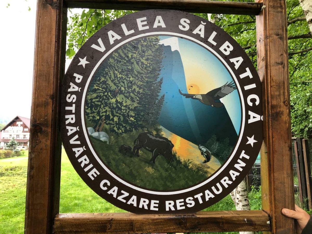Valea Salbatica Sinca Noua Exterior foto